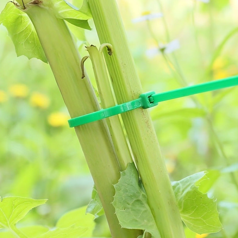 100 unidades de Cintas de plástico verde para jardinería, de alta resistencia, auto-bloqueantes, multiusos para jardinería y paisajismo