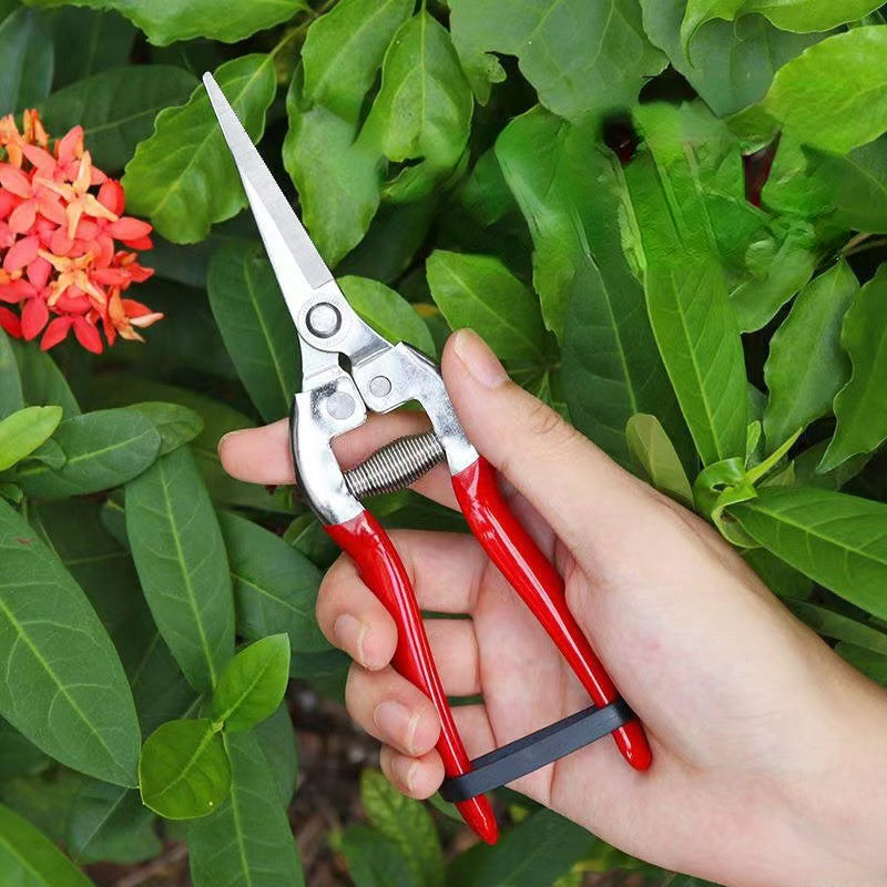 Juego de 4 tijeras para frutas raras con cabezales rectos y curvos de acero inoxidable y mangos de plástico, tijeras para flores raras, tijeras para frutas escasas, poda de árbol de pimienta, tijeras grandes de acero inoxidable para ramas, cabeza curva p