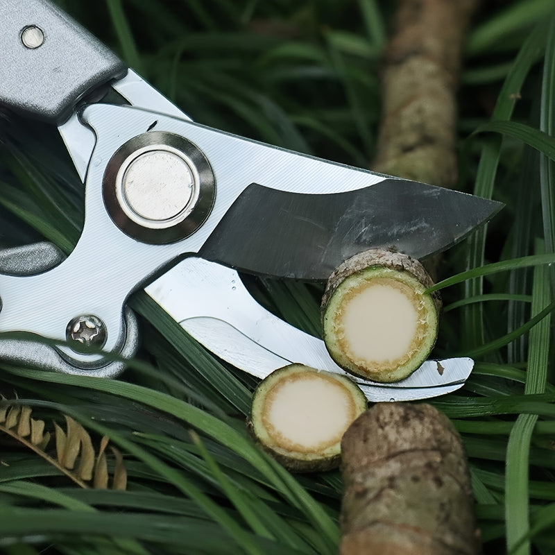 3 Piezas de Tijeras para Jardinería, Cortar Rama en Acero Inoxidable, Herramientas para Recolección de Frutas y Flores, Tijeras Artísticas para Corte de Ramas