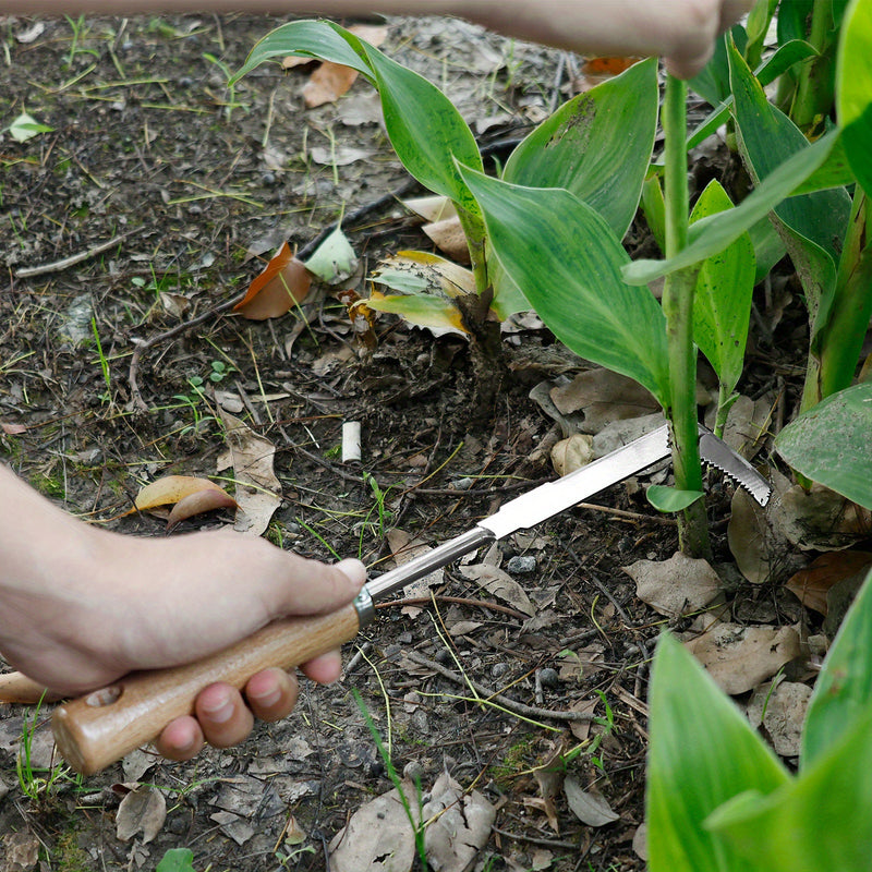 Juego de 4 Herramientas para Deshierbar Acero Inoxidable con Mango Ergonómico de Madera, Set Multiusos para Jardinería y Transplante