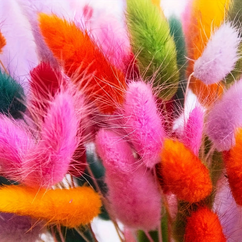 Ramo de 140 piezas de Hierba de Cola de Conejo Seca Multicolor Estilo Boho Chic - Ideal para Decoración del Hogar, Bodas, Fiestas y Festividades (Halloween, Navidad, Pascua, San Valentín, Acción de Gracias)