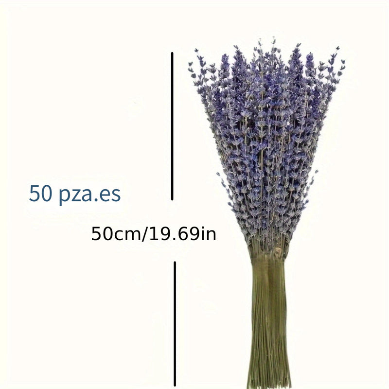 50pcs Flores Secas de Lavanda Natural - Aroma Duradero para Decoración del Hogar, Calmante y Purificador, Perfecto para el Ambiente de la Sala de Estar