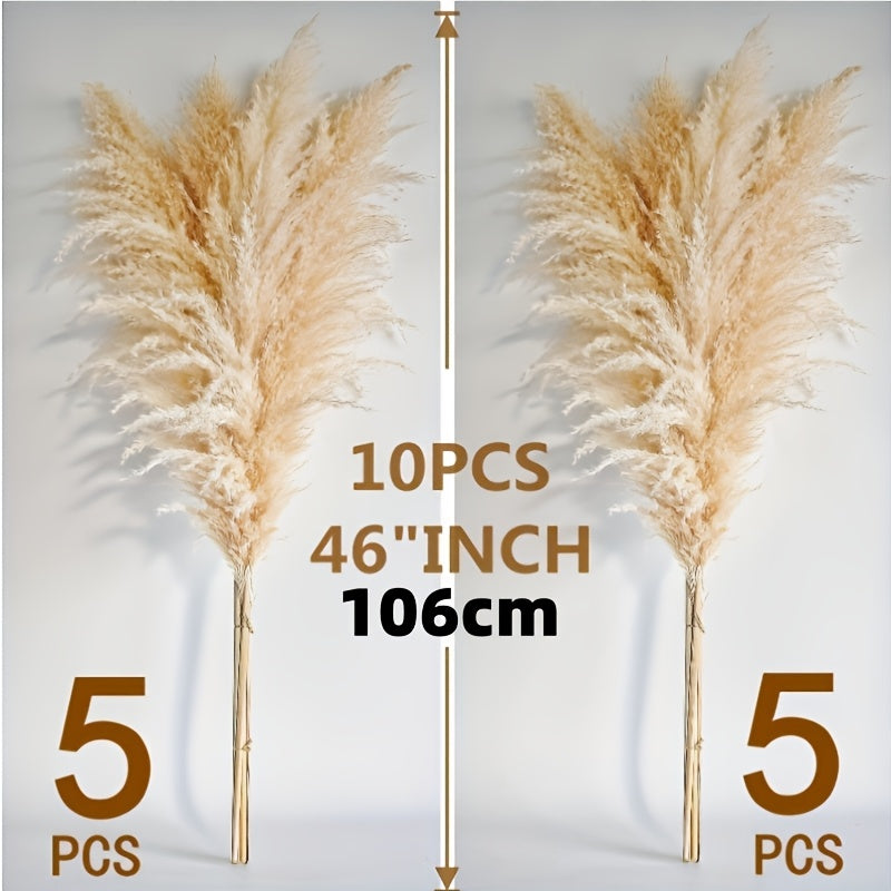 Pasto de las pampas natural de 10 ramas, 116.84 cm, decoración para bodas, fiestas, casas de campo y estilo bohemio