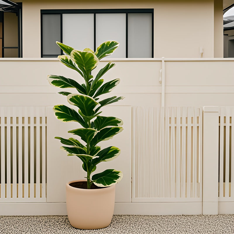 1 planta artificial de estilo europeo para exterior, maceta de lujo con 23 hojas grandes blancas y verdes, ideal para interior/exterior, árbol falso para todas las estaciones - sin incluir maceta