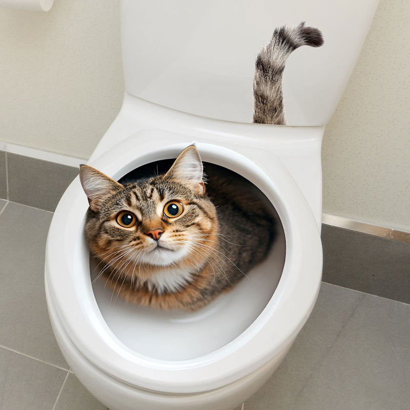 Gato divertido en el inodoro, adhesivo autoadhesivo para baño, diseño de animal rectangular, decoración de baño para el hogar, uso único.