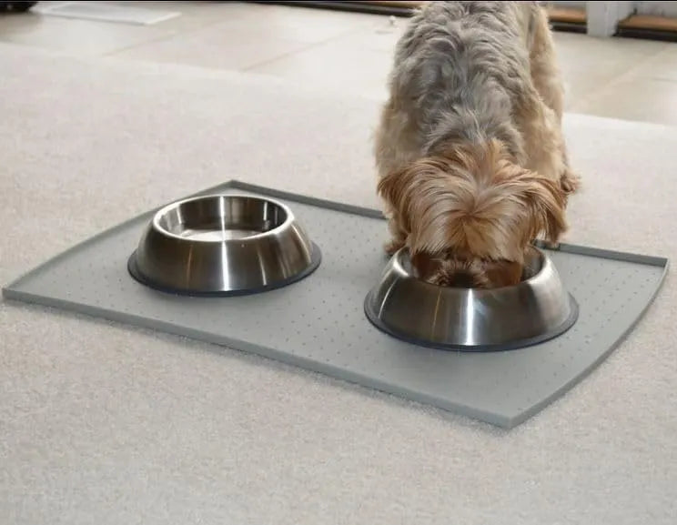 Plato Comedero Gato / Perro Acero Inox. 10 Cmts Diametro Plateado