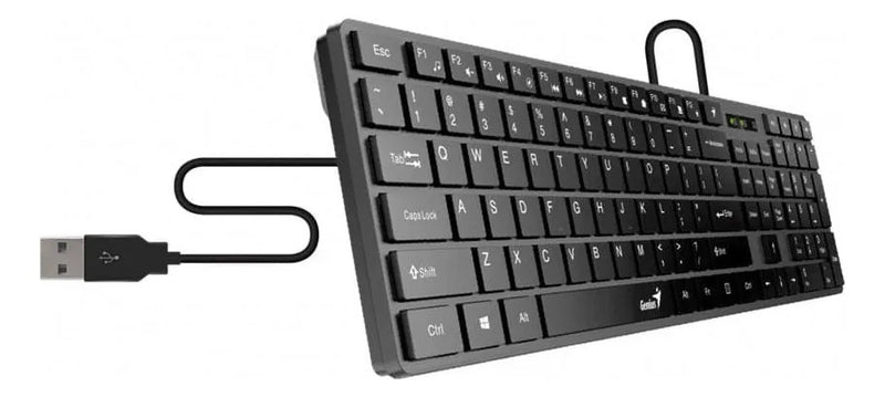Teclado Genius SlimStar QWERTY Membrana español color negro con luz no