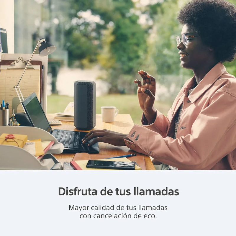 Parlante Sony Serie X SRS-XE300 SRS-XE300 portátil con bluetooth waterproof azul