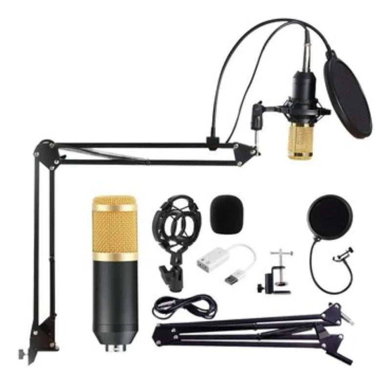 Microfono Condensador Profesional Bm-800 Studio + Accesorios