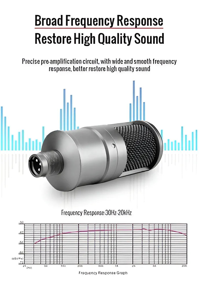 Microfono Para Grabacion Estudio Electro Takstar Sm-8b Color Gris