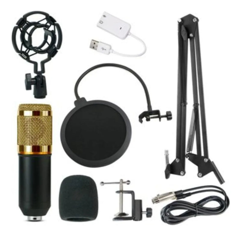 Microfono Condensador Profesional Bm-800 Studio + Accesorios