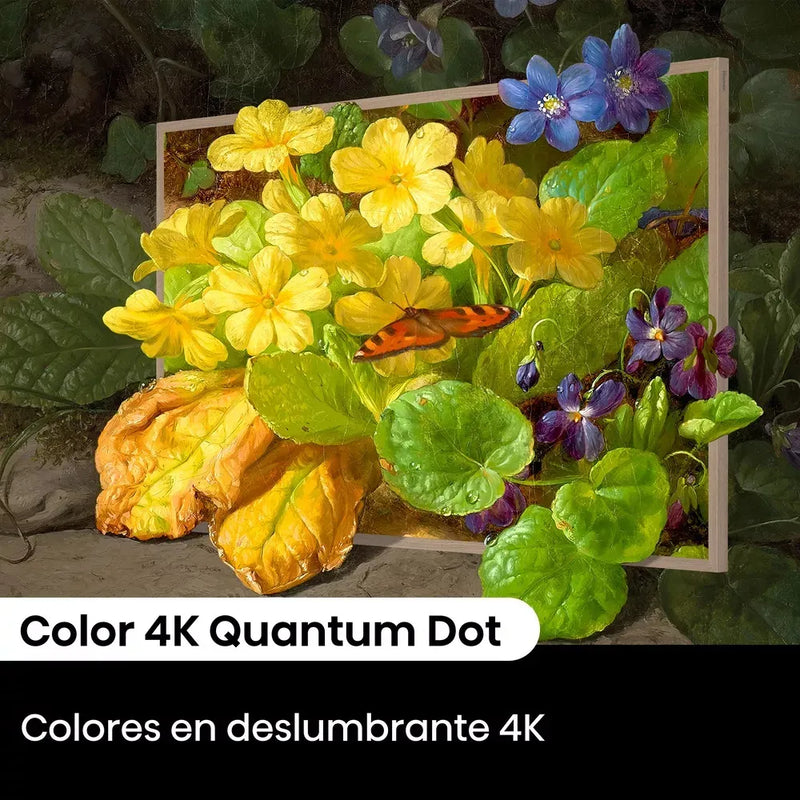 Televisor Hisense Canvas 55 Qled 4k 55s7n