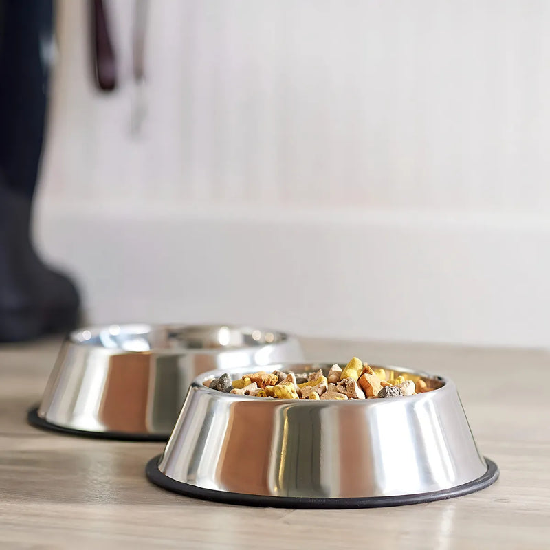 Comedero Plato Para Perros Y Gatos En Acero Inoxidable 22cm Color Plateado
