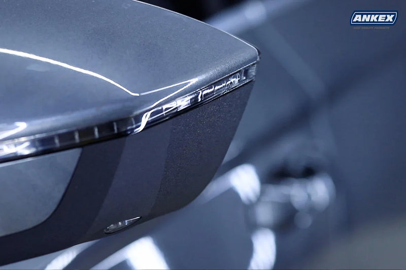 Restaurador Exterior Ankex Detailer Partes Negras