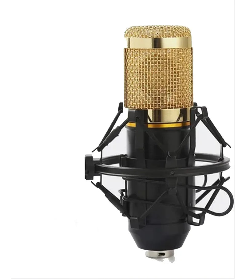 Microfono Condensador Profesional Bm-800 Studio + Accesorios