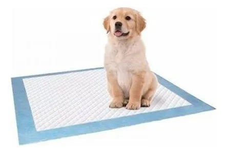 40 Tapetes Entrenamiento Absorbentes Para Mascota 60x60