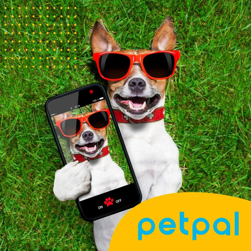 Maquina Peluqueria Corta Pelo Mascotas Perro Gato Kit Petpal Color Negro