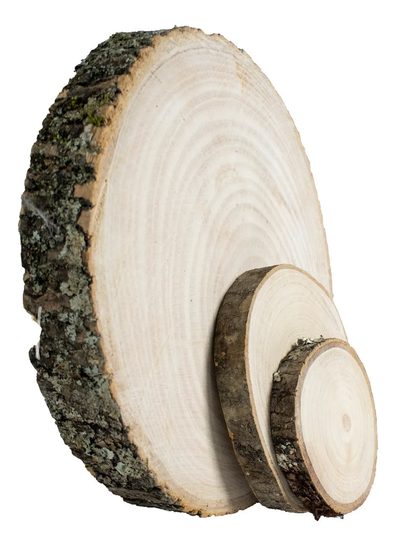 Rodaja De Madera X2 Natural 10cm 2 X Rodajas De Madera Natural De 10 Cm
