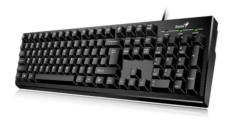 Teclado Genius KB-100 USB Negro