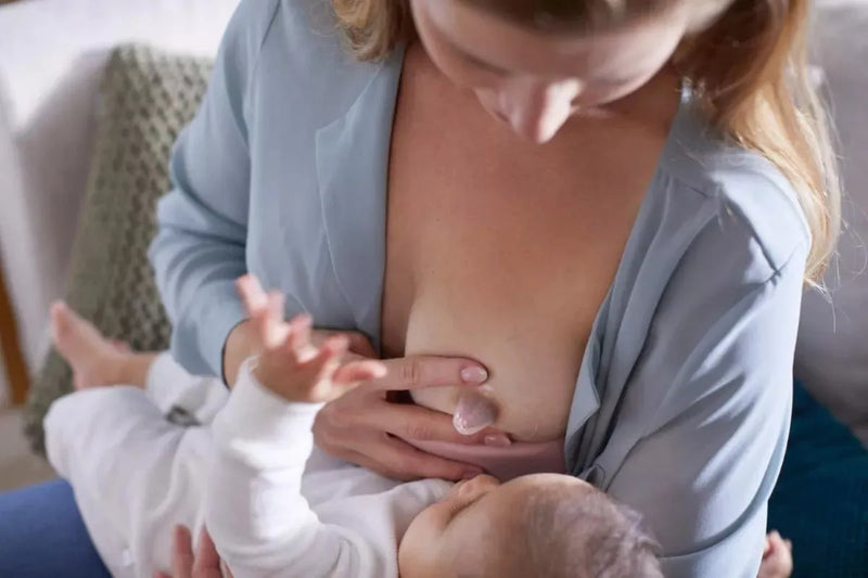 Avent Protector De Pezón Standar