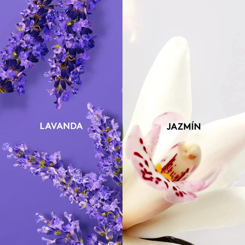 Shampoo Agu Lavanda Y Jazmín Esika
