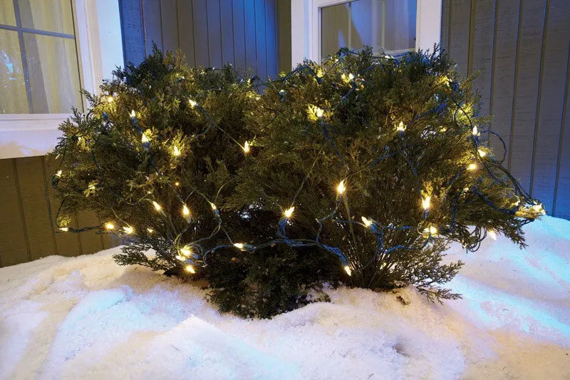 Extensión 100 Luces Navideñas Led Celebrations