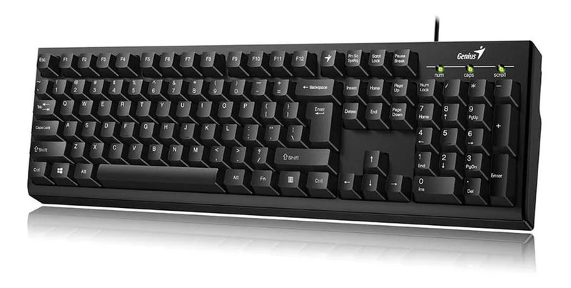 Teclado Genius KB-100 USB Negro