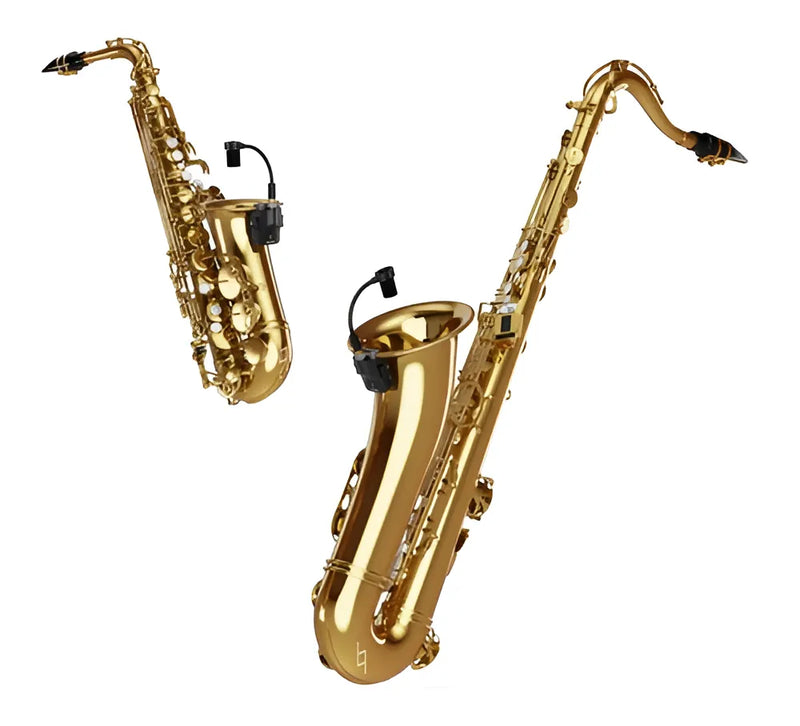Microfono Inalambrico Nux B6 Para Saxofon Con Estuche Color Negro