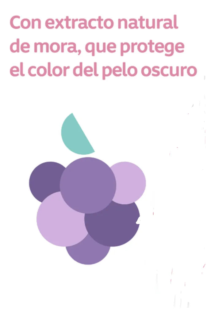 Shampo Johnson's Baby Cabello Oscuro X 1l