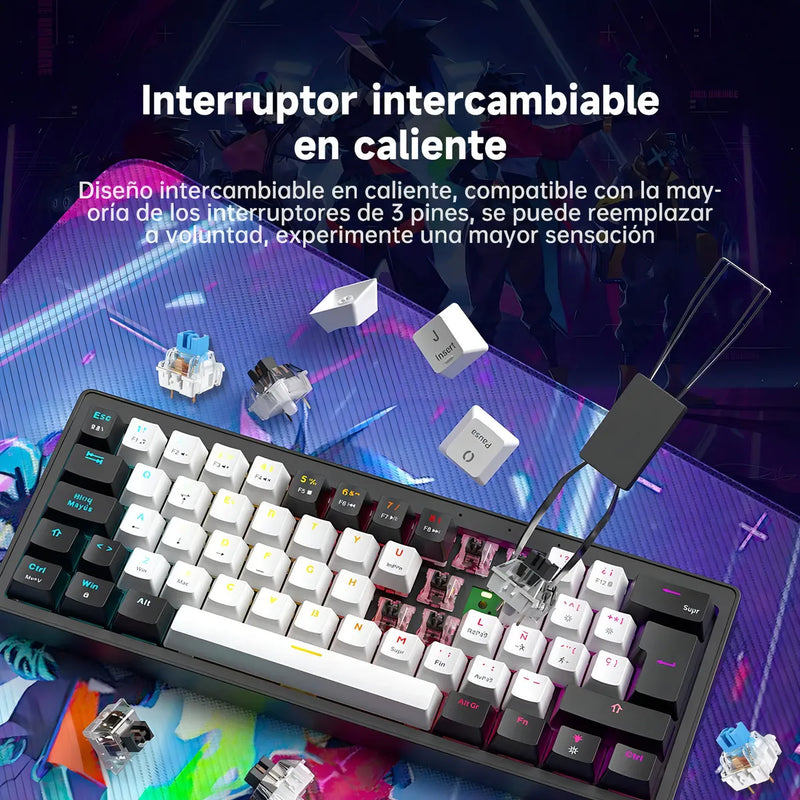 Teclado Gamer Mecánico Zifriend Ag61 Español Black Switches Retroiluminado Rainbow 62 Teclas 60% Compacto Interruptores Intercambiables En Caliente Hot Swap