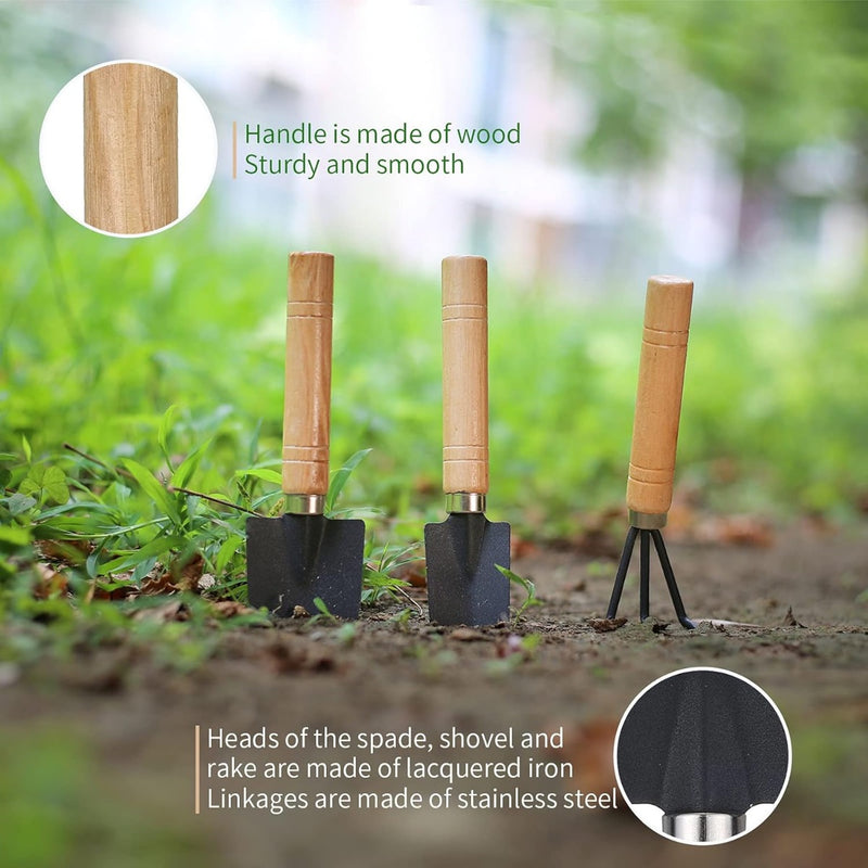 Juego de 5 piezas de herramientas de jardín miniatura para suculentas y plantas de interior - Incluye tijeras de poda, cucharas y una regadera - Perfecto para el cuidado del suelo de las semillas y el bonsái - Regalo ideal para jardineros, juego de herra