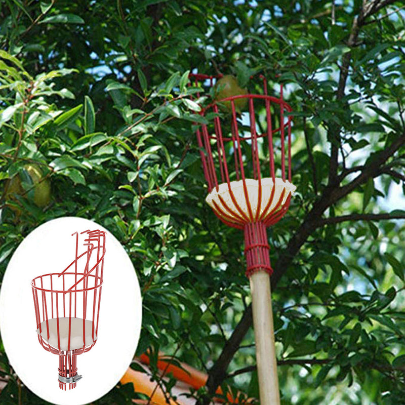 Herramienta de jardín para cosechar frutas como manzanas, melos, cítricos y peras, con una cesta profunda para una fácil recolección.