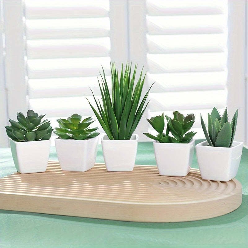 Juego de 5 Piezas de Suculentas Artificiales - Mini Plantas en Macetas para Decoración de Hogar y Oficina, Acentos de Estilo Nórdico para Escritorio con Contenedores Incluidos