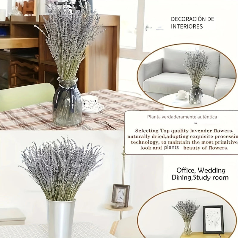 50pcs Flores Secas de Lavanda Natural - Aroma Duradero para Decoración del Hogar, Calmante y Purificador, Perfecto para el Ambiente de la Sala de Estar