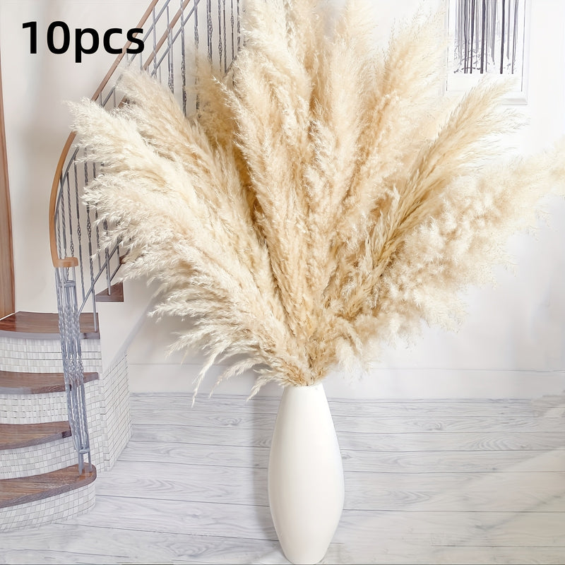 10 piezas de 40 pulgadas de hierba de pampano adecuadas para adornos de pared de hierba, flores de pampano altas y plantas de piso para habitaciones.