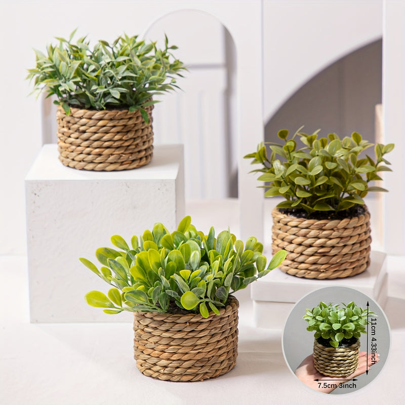 Juego de 3 Piezas de Plantas Artificiales de Eucalipto y Lavanda en Macetas - Decoraciones de Buxo Falso, Romero y Planta Dinero para el Hogar, Oficina y Jardín - Perfectas para Exhibición en Mesas, Fiestas y Decoración Estacional