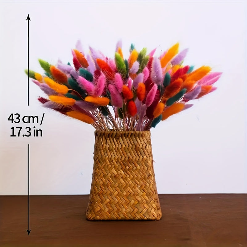 Ramo de 140 piezas de Hierba de Cola de Conejo Seca Multicolor Estilo Boho Chic - Ideal para Decoración del Hogar, Bodas, Fiestas y Festividades (Halloween, Navidad, Pascua, San Valentín, Acción de Gracias)