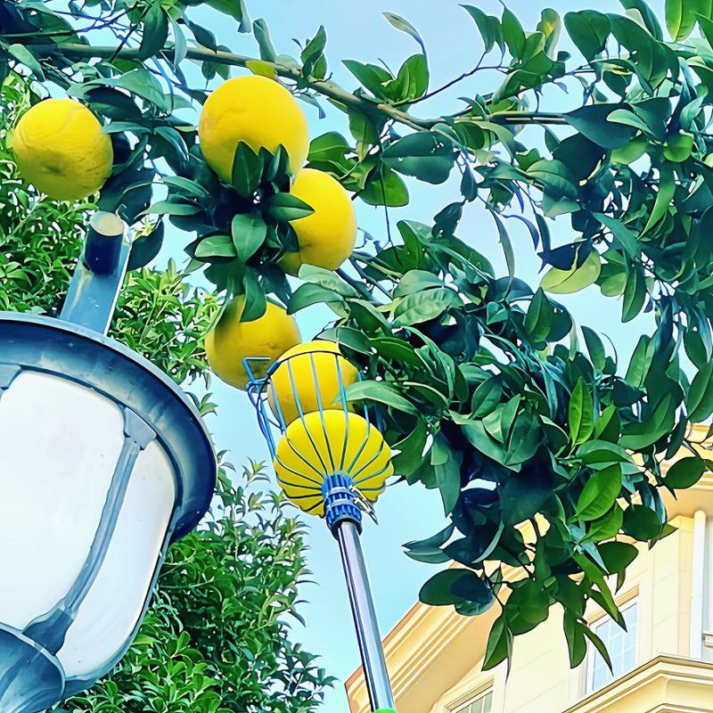Herramienta Recogedora de Frutas Telescópica Naranja y Amarilla con Garras para Nísperos, Ciruelas y Yangmei - Cosecha en Altitudes Elevadas, Sin Batería Necesaria, Diseño Duradero de Metal
