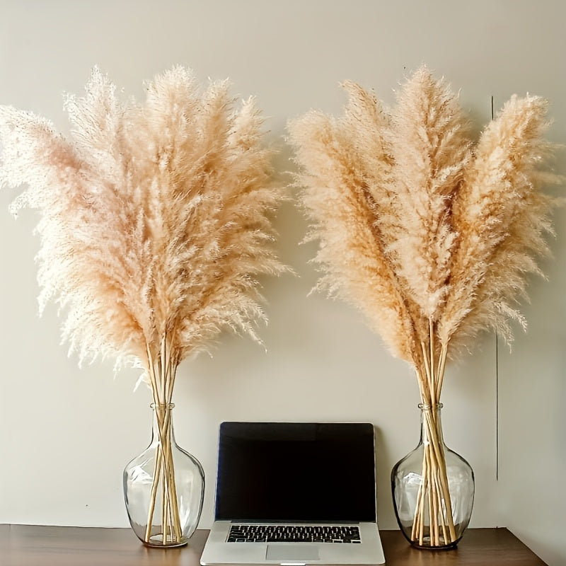 Pasto de las pampas natural de 10 ramas, 116.84 cm, decoración para bodas, fiestas, casas de campo y estilo bohemio
