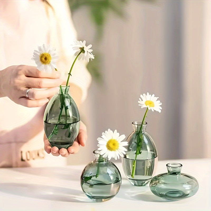 Conjunto de 3 jarrones de vidrio modernos, jarrón redondo decorativo transparente para hidroponía y flores secas, trío de pequeños jarrones de vidrio de lujo creativos, elegante exhibición para la mesa.