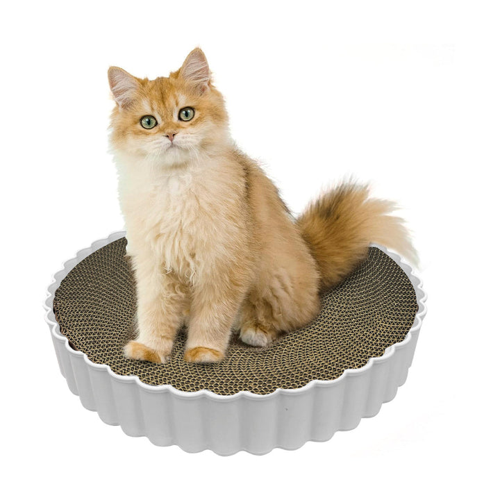 Rascador Para Gatos Catnip Anti Estrés Cartón Corrugado SC2112-217