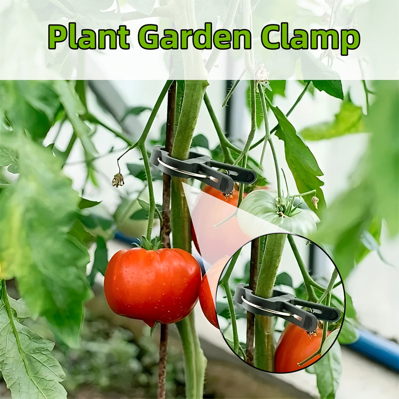 50 Piezas de Soportes para Plantas Resistentes - Pinzas Abiertas para Tomate, Pepino y Guisantes - Herramienta de Jardinería Duradera en Plástico para Cultivo Interior/Exterior - Estabilidad y Crecimiento Saludable de Vegetales