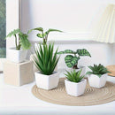 1set 6pcs-Combinación de Plantas Simuladas Suculentas Artificiales Planta Verde Bonsái Decoración de Interior Adorno de Escritorio de Oficina Estilo Nórdico Decoraciones de Plantas en Maceta Pequeñas Simuladas