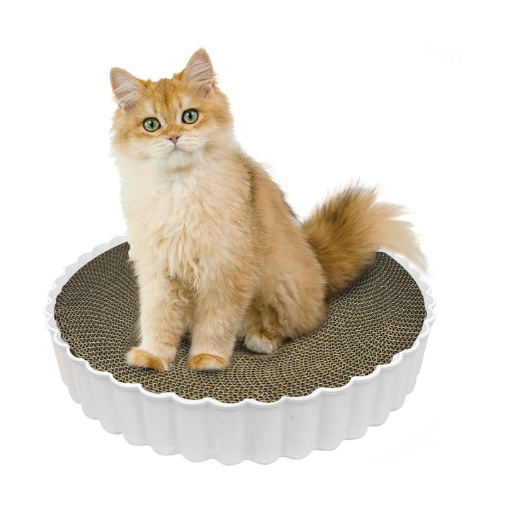 Rascador Para Gatos Catnip Anti Estrés Cartón Corrugado SC2112-217