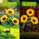 Luces Solares de Girasol, Pack de 3 Linternas LED para Jardín, Senderos, Patio y Decoración de Verano