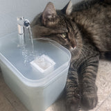 Fuente de Agua Automática para Gatos de 1.5L con Alimentación por USB, Grifo de Acero Inoxidable y Filtros - Hidratación Fresca y Circular para Mascotas Pequeñas