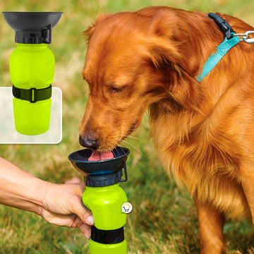 Bebedero Agua Portátil Mascotas Dispensador Termo Perros RF 0015