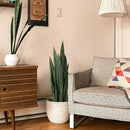 3-6 Pack Planta Artificial Sansevieria, Plástico Graptosedum Planta de Culebra para Decoración Interior y Exterior, Planta de Piso de Verde Falso para Hogar, Oficina, Aniversario, Navidad, Pascua, Día de San Patricio, Día de San Valentín, Muharram/Año Nu