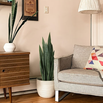 3-6 Pack Planta Artificial Sansevieria, Plástico Graptosedum Planta de Culebra para Decoración Interior y Exterior, Planta de Piso de Verde Falso para Hogar, Oficina, Aniversario, Navidad, Pascua, Día de San Patricio, Día de San Valentín, Muharram/Año Nu