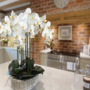 5 Piezas de Orquídeas Mariposa Blancas Elegantes Artificiales - Ideales para Hogar, Oficina, Bodas y Hoteles - Decoración para San Valentín, Día de la Madre y Aniversarios - Sin Contenedor Incluido - Decoración de Verano - Material Plástico - Para Mesas